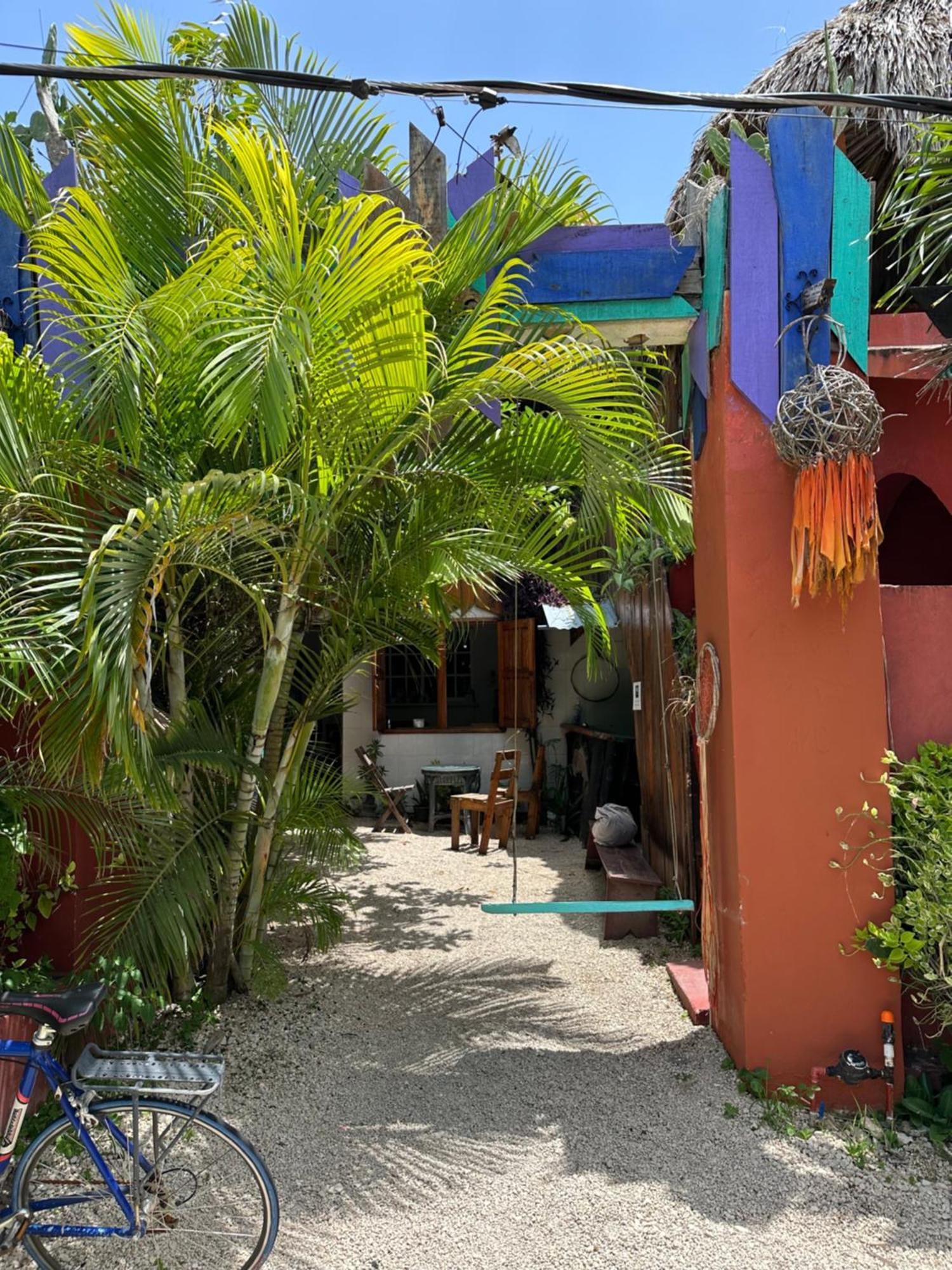 Black Jaguar Hostel Bacalar Exterior photo
